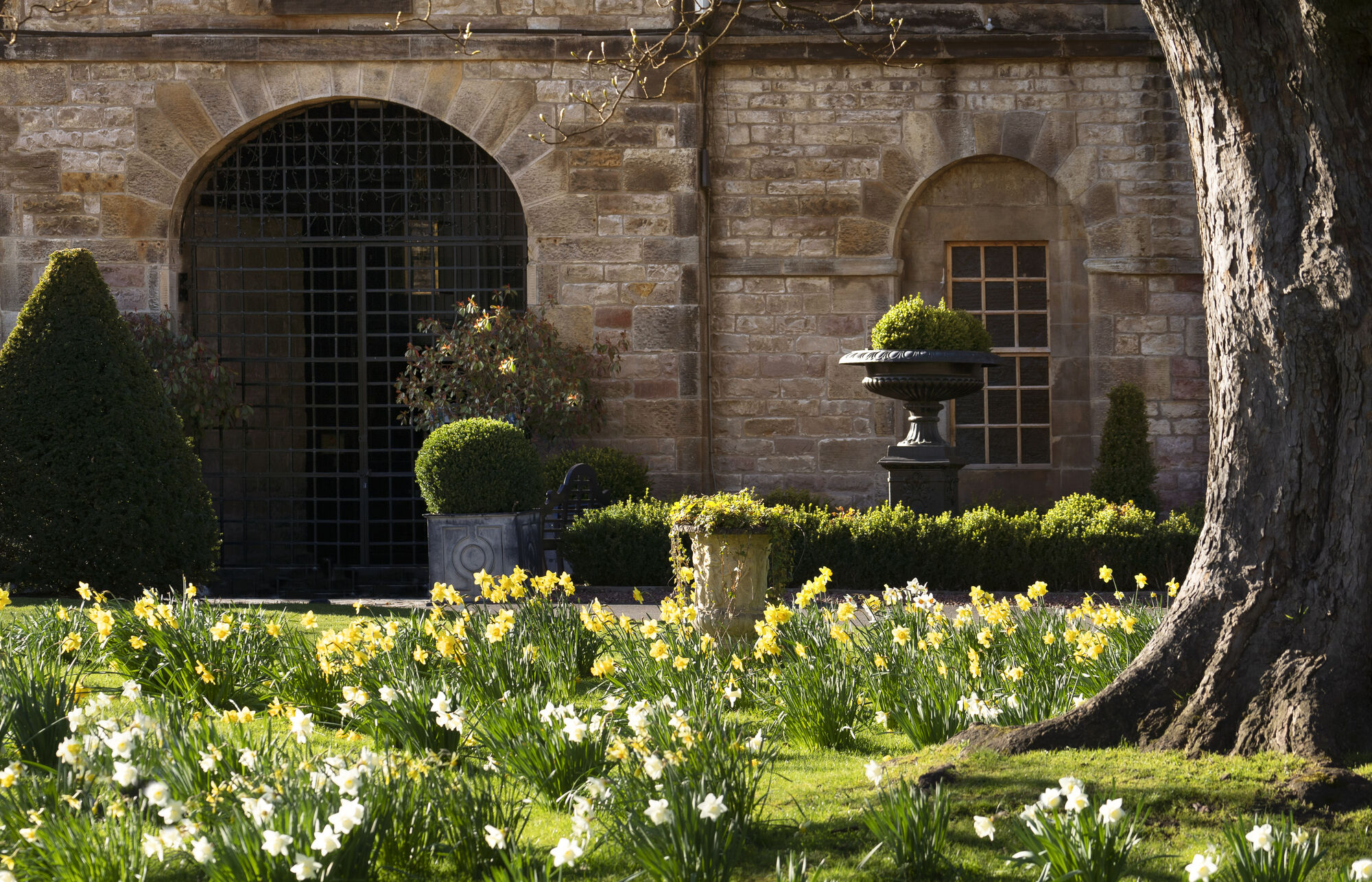 Project Kuyenda Charity Gala - Tickets